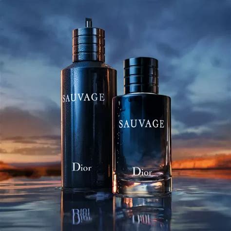 profumi simili a sauvage dior|dior sauvage alternative for men.